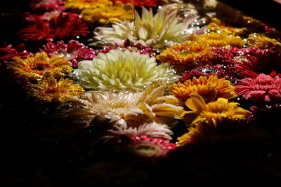 How to Care for Your Flower Bouquets in Phuket’s Tropical Climate