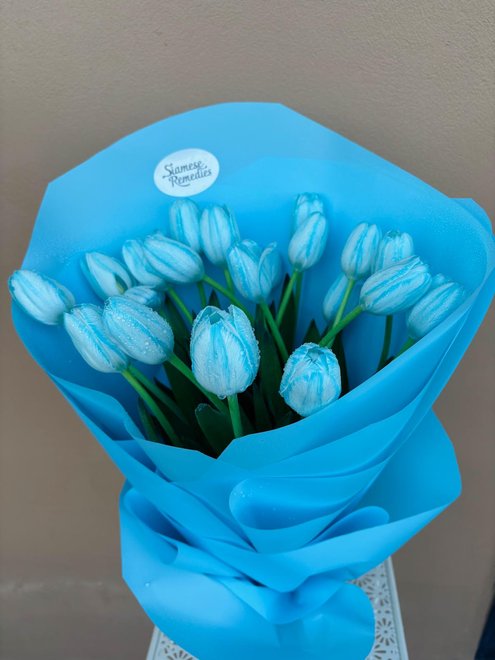 Blue Tulips