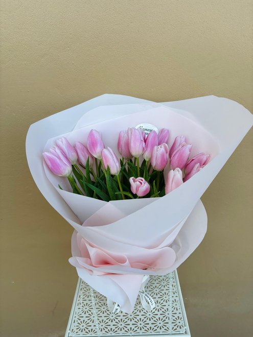 Pink Tulips