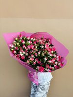 Large bouquet of 50 pink and white spray roses wrapped in bright pink paper, held against a neutral beige background